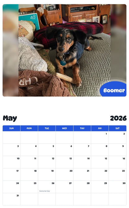 2026 - 2027 Boomer - Pawidols Pet Calendar