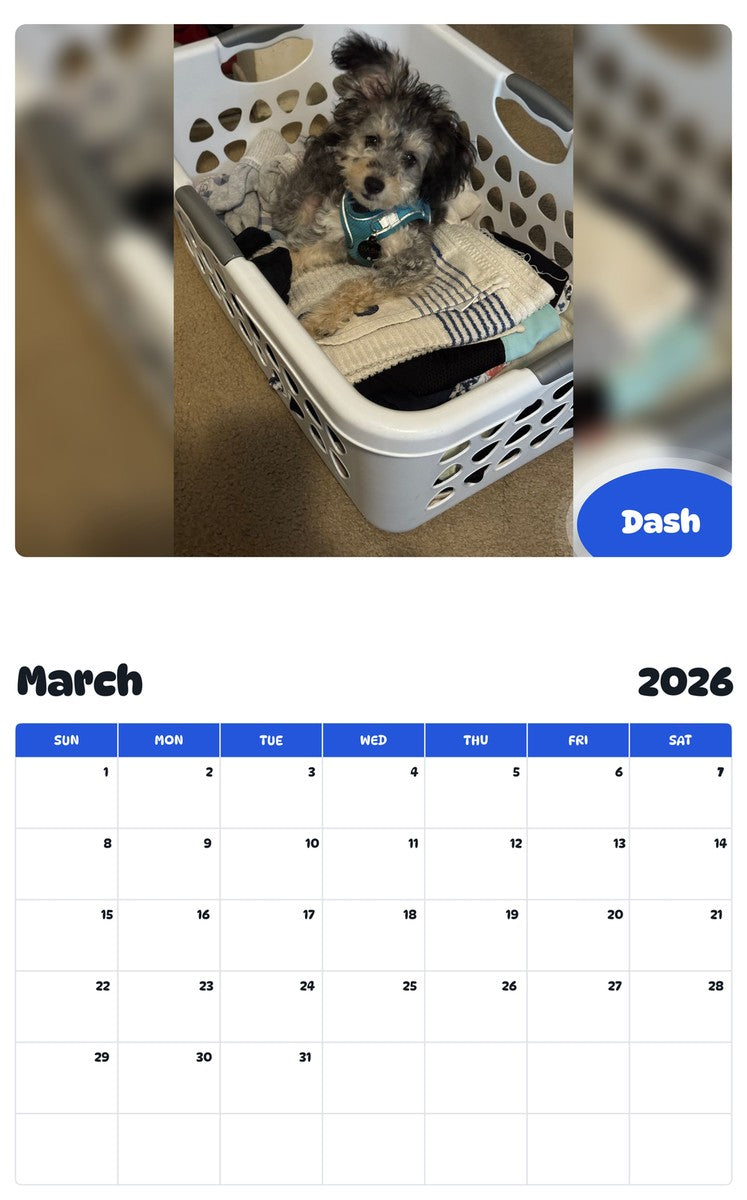 November 2025 - October 2026 Dash - Pawidols Pet Calendar