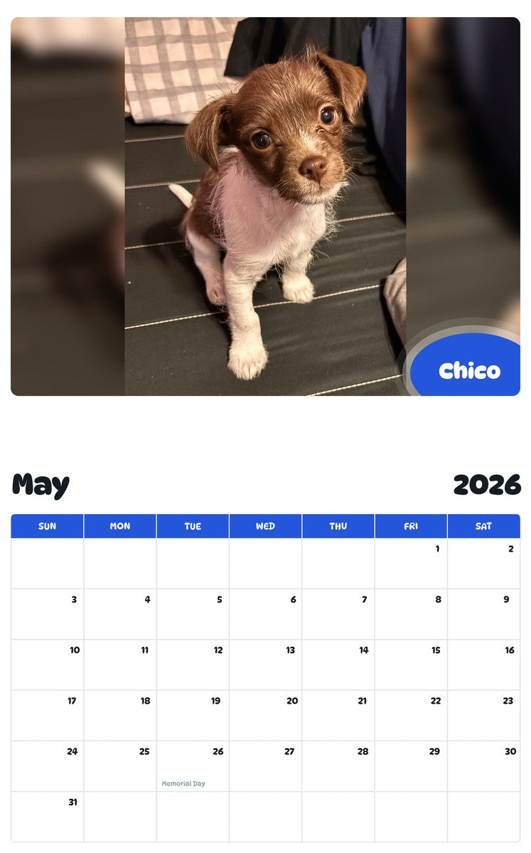 2026 - 2027 Chico - Pawidols Pet Calendar