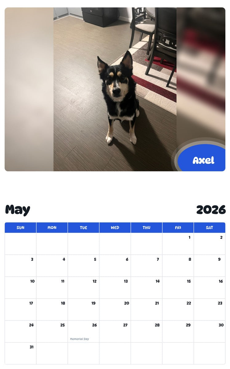 2026 - 2027 Axel - Pawidols Pet Calendar