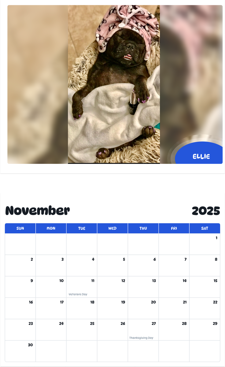 July 2025 - June 2026 Ellie - Pawidols Pet Calendar