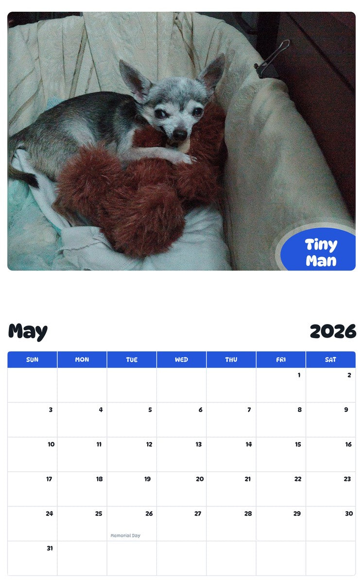 2026 - 2027 Tiny Man - Pawidols Pet Calendar