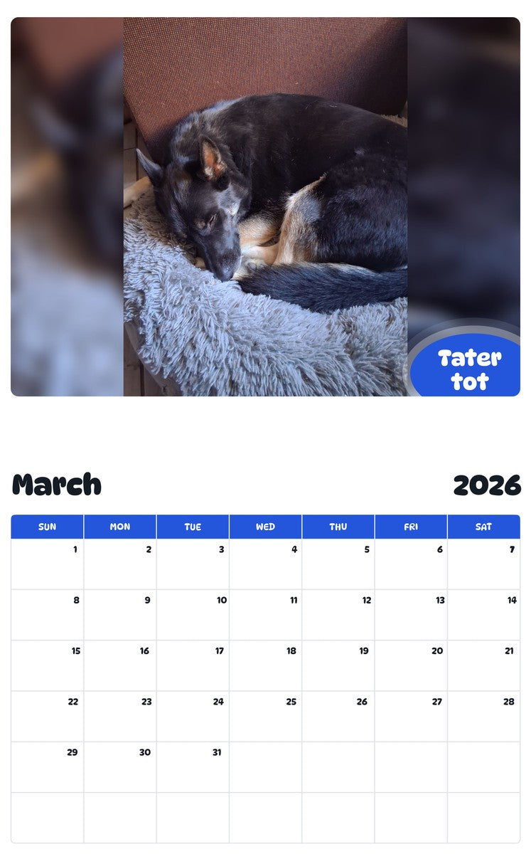 November 2025 - October 2026 Tater tot - Pawidols Pet Calendar