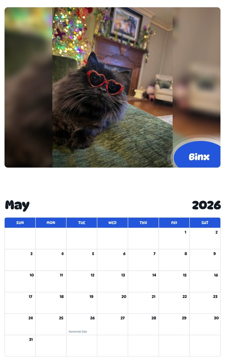 2026 - 2027 Binx - Pawidols Pet Calendar