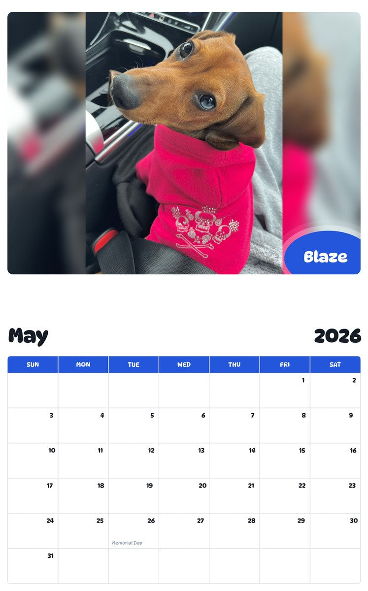 2026 - 2027 Blaze - Pawidols Pet Calendar