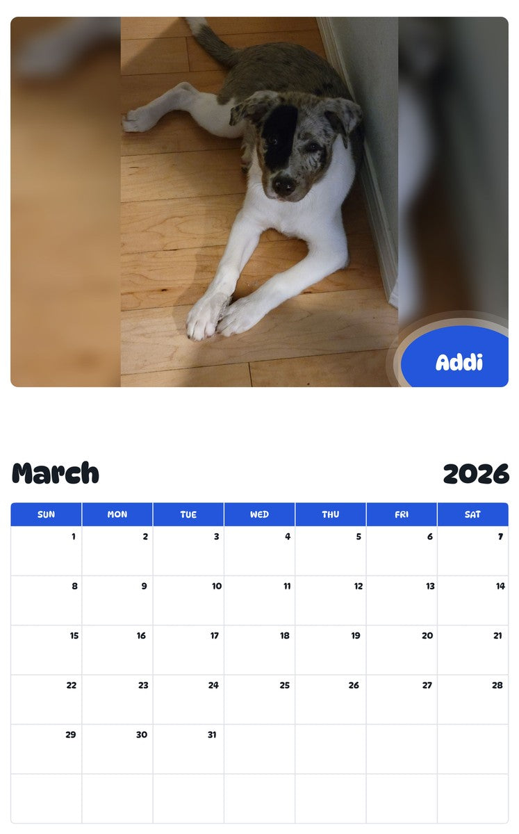 November 2025 - October 2026 Addi - Pawidols Pet Calendar