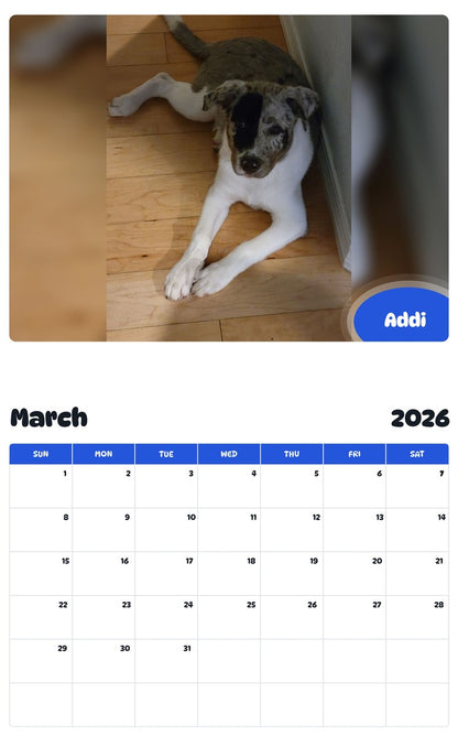 November 2025 - October 2026 Addi - Pawidols Pet Calendar