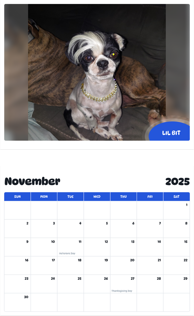 July 2025 - June 2026 Lil Bit - Pawidols Pet Calendar