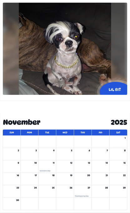 July 2025 - June 2026 Lil Bit - Pawidols Pet Calendar