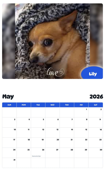 2026 - 2027 Lily - Pawidols Pet Calendar