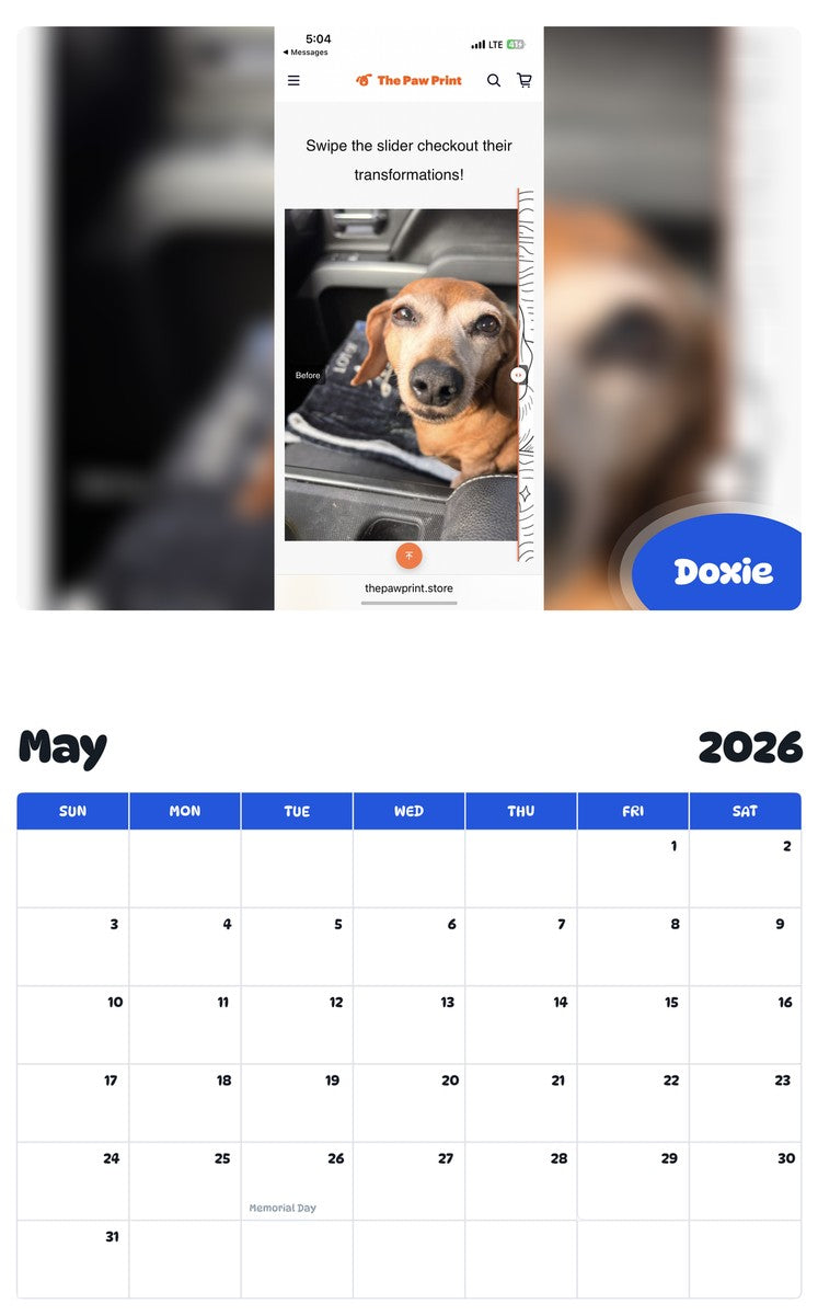 2026 - 2027 Doxie - Pawidols Pet Calendar