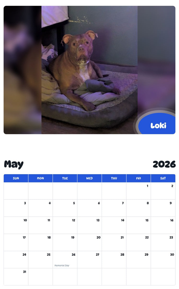 2026 - 2027 Loki - Pawidols Pet Calendar