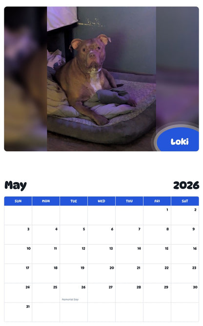 2026 - 2027 Loki - Pawidols Pet Calendar