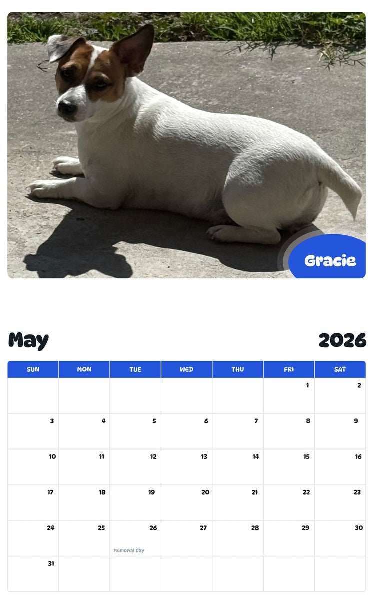 2026 - 2027 Gracie - Pawidols Pet Calendar