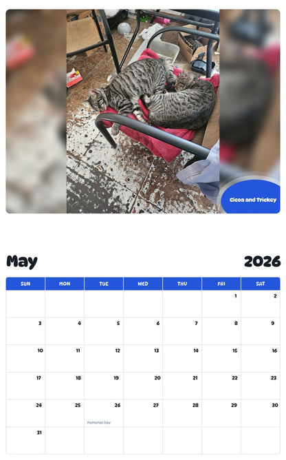 2026 - 2027 Cicoa and Trickey - Pawidols Pet Calendar