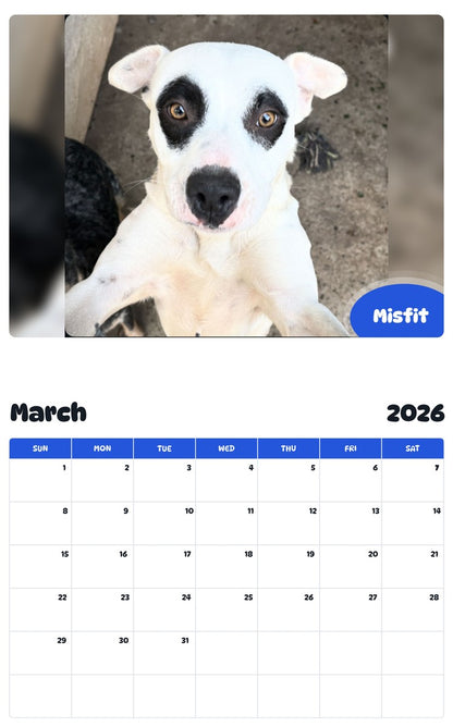 November 2025 - October 2026 Misfit - Pawidols Pet Calendar