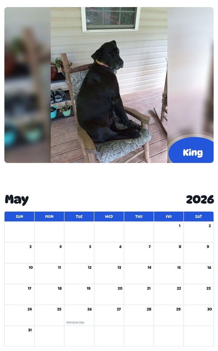 2026 - 2027 King - Pawidols Pet Calendar