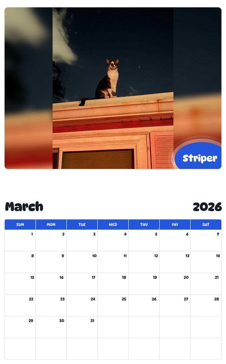 November 2025 - October 2026 Striper - Pawidols Pet Calendar