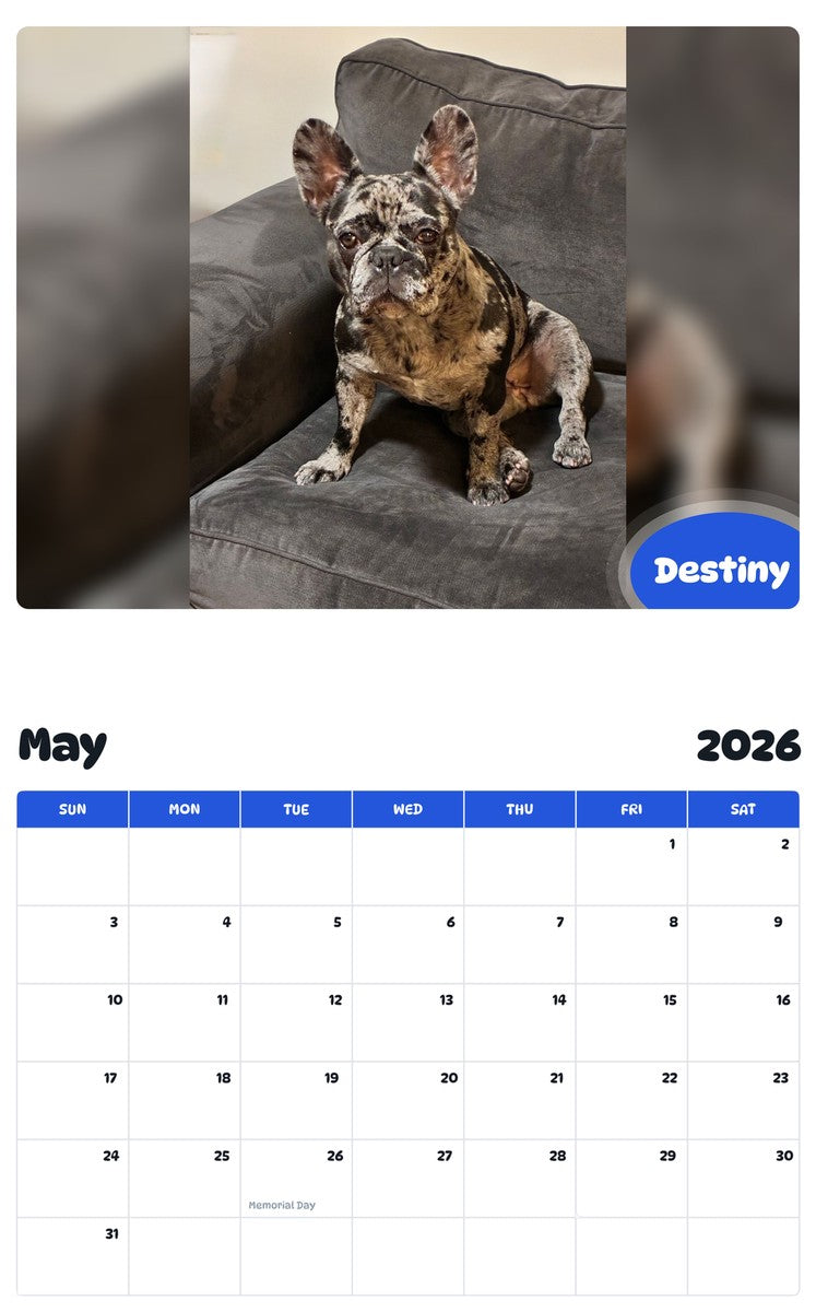 2026 - 2027 Destiny - Pawidols Pet Calendar