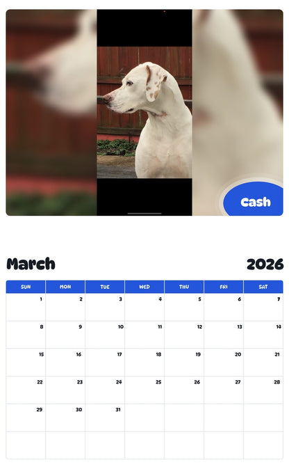 November 2025 - October 2026 Cash - Pawidols Pet Calendar