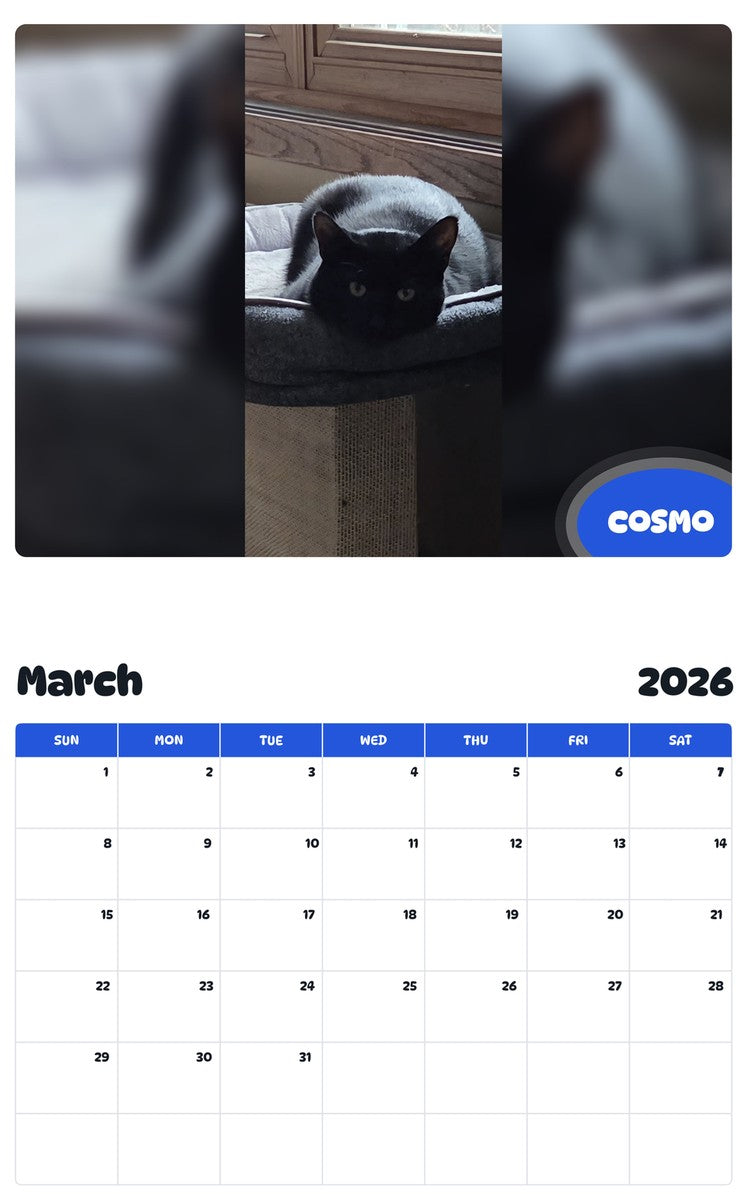 November 2025 - October 2026 COSMO - Pawidols Pet Calendar