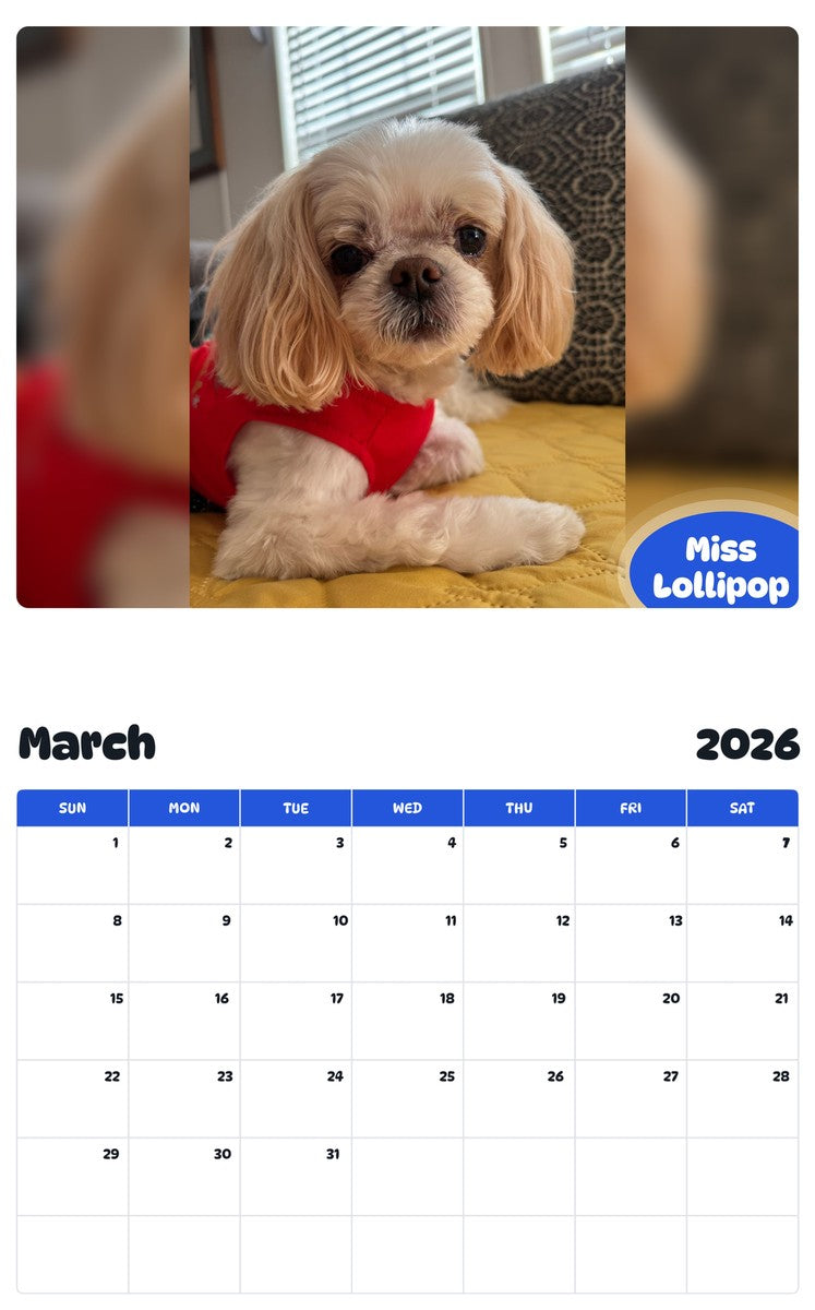 November 2025 - October 2026 Miss Lollipop - Pawidols Pet Calendar