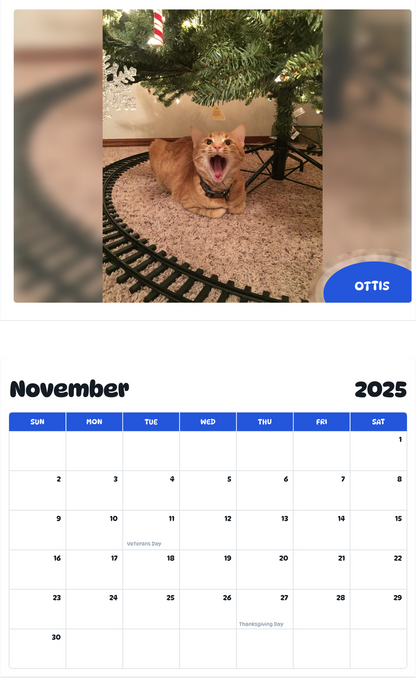 July 2025 - June 2026 Ottis - Pawidols Pet Calendar