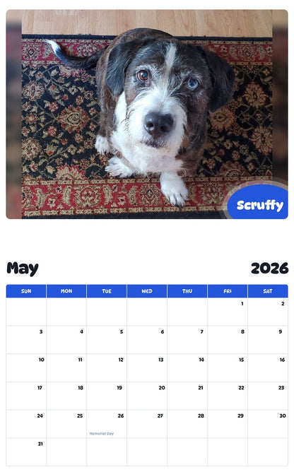 2026 - 2027 Scruffy - Pawidols Pet Calendar