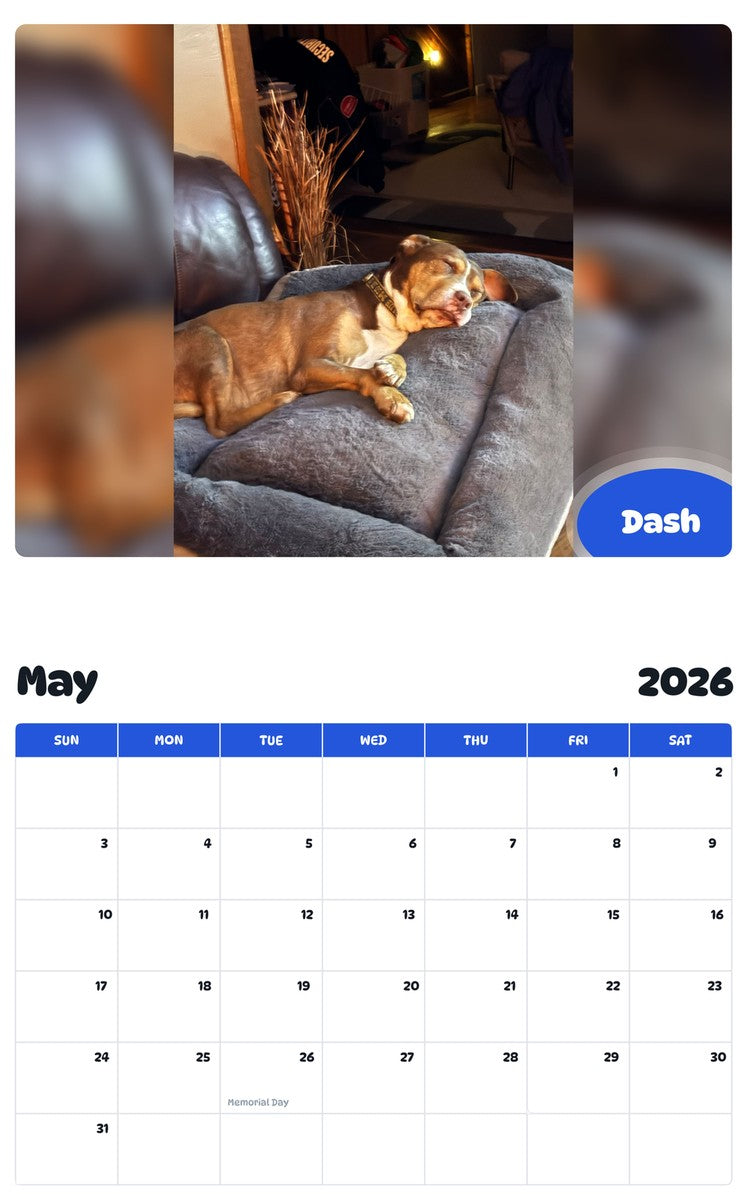 2026 - 2027 Dash - Pawidols Pet Calendar