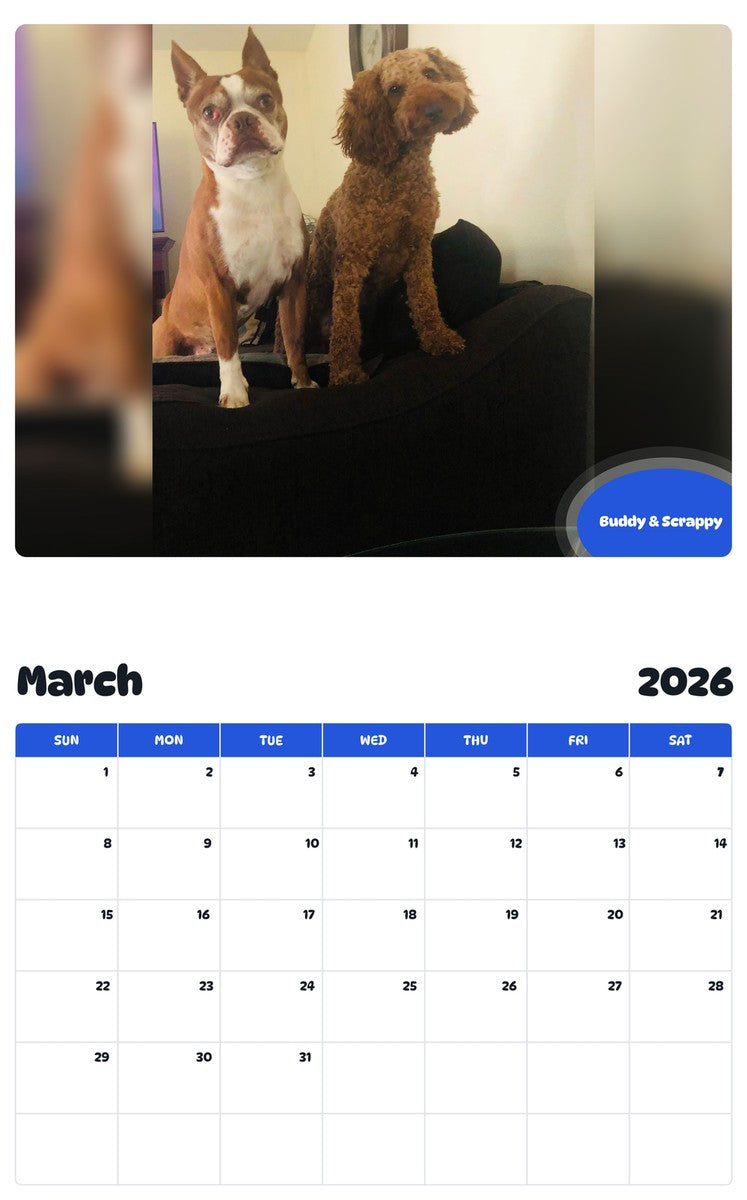 November 2025 - October 2026 Buddy & Scrappy - Pawidols Pet Calendar