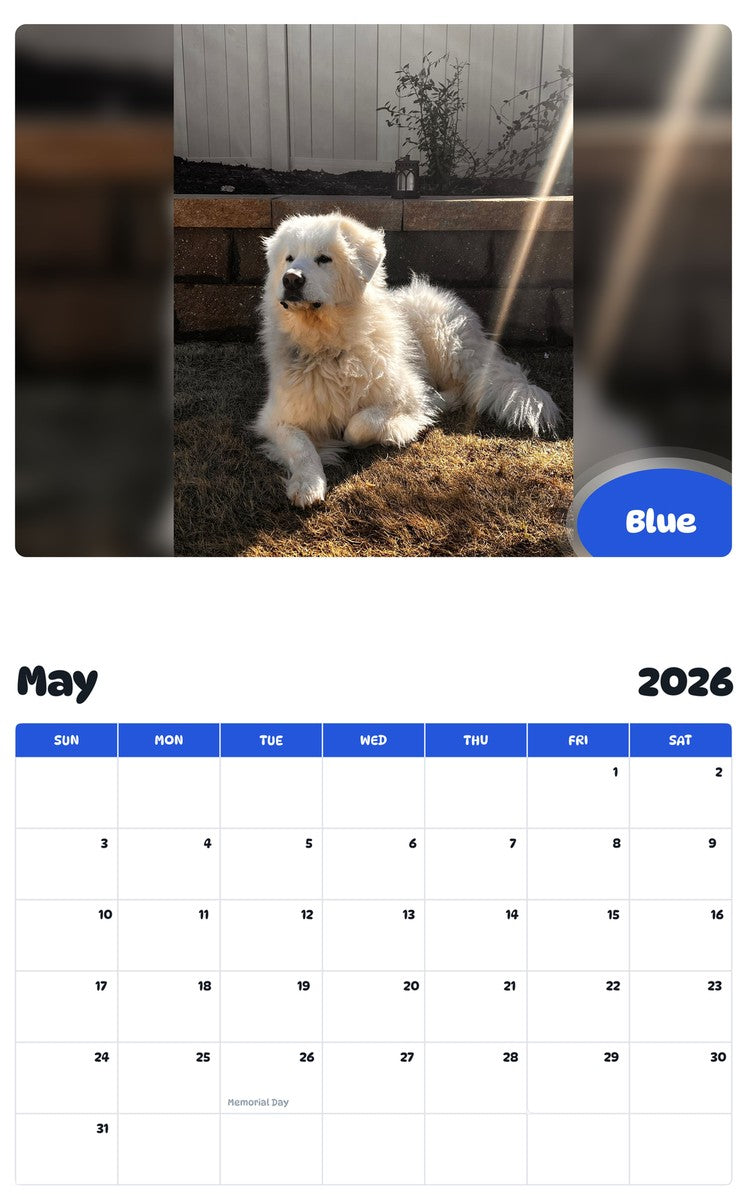 2026 - 2027 Blue - Pawidols Pet Calendar