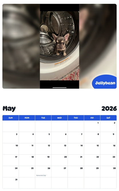 2026 - 2027 Jellybean - Pawidols Pet Calendar