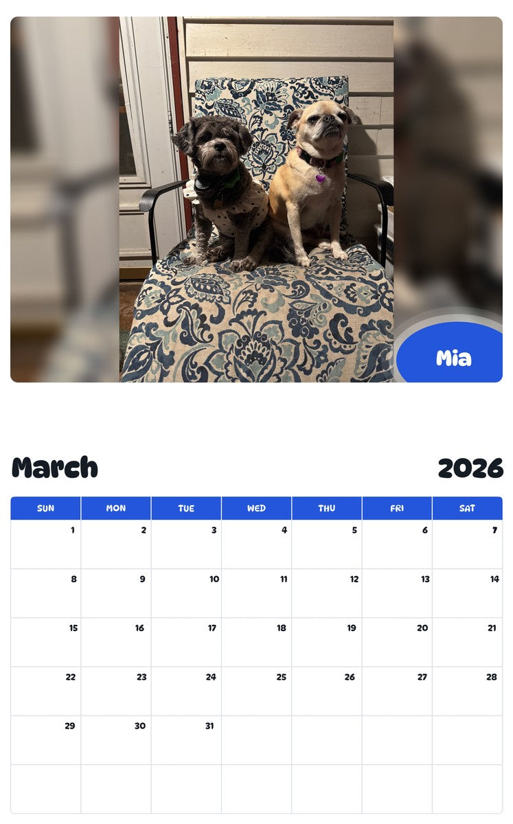 November 2025 - October 2026 Mia - Pawidols Pet Calendar