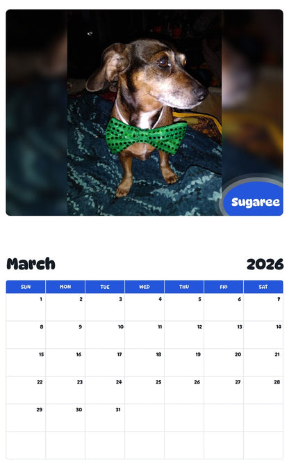 November 2025 - October 2026 Sugaree - Pawidols Pet Calendar