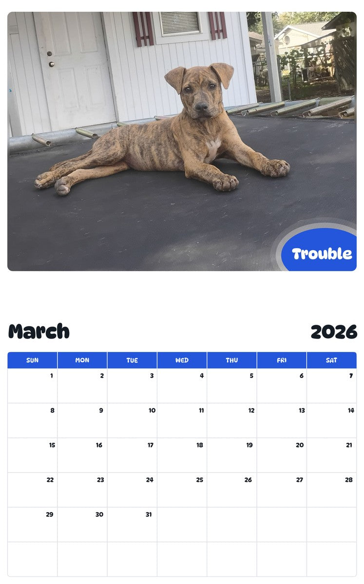 November 2025 - October 2026 Trouble - Pawidols Pet Calendar