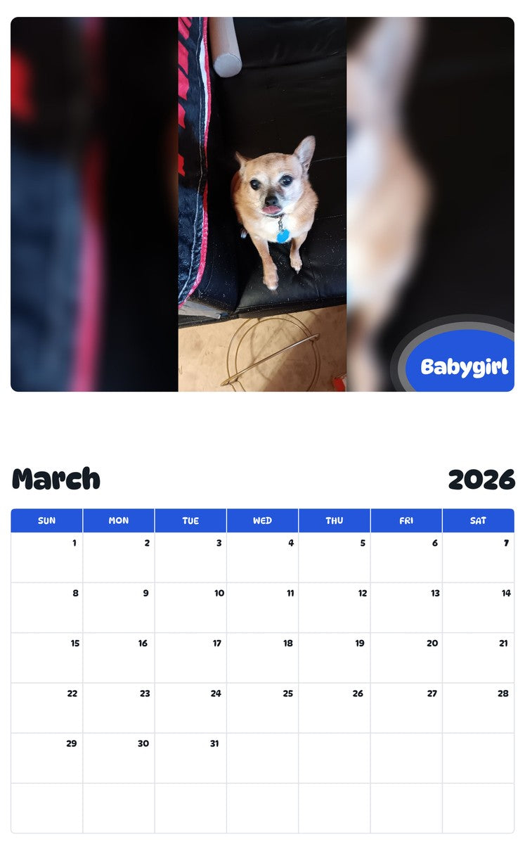 November 2025 - October 2026 Babygirl - Pawidols Pet Calendar