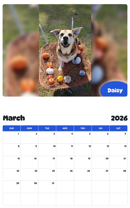 November 2025 - October 2026 Daisy - Pawidols Pet Calendar