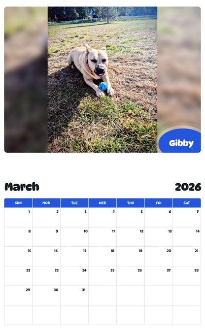 November 2025 - October 2026 Gibby - Pawidols Pet Calendar