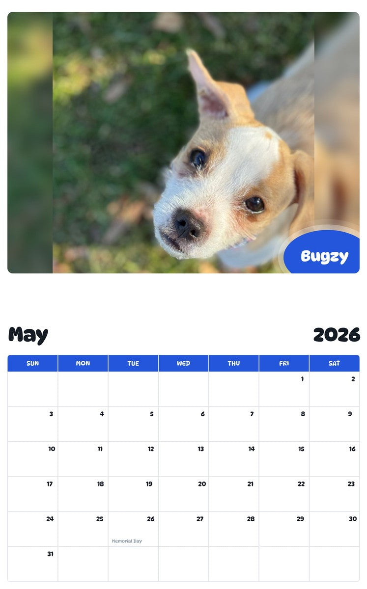 2026 - 2027 Bugzy - Pawidols Pet Calendar