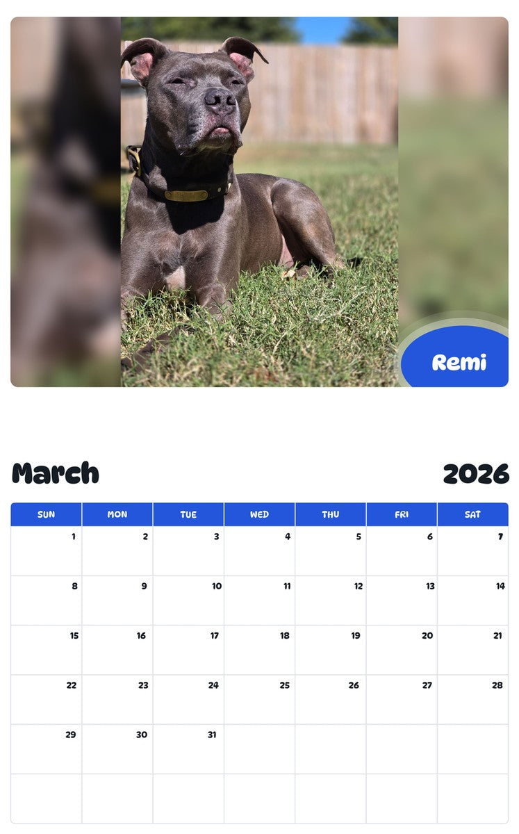 November 2025 - October 2026 Remi - Pawidols Pet Calendar