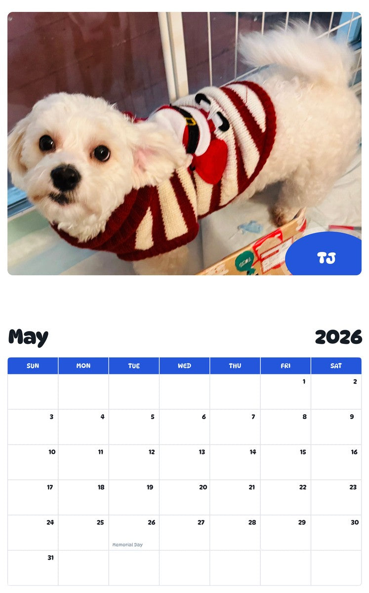 2026 - 2027 TJ - Pawidols Pet Calendar
