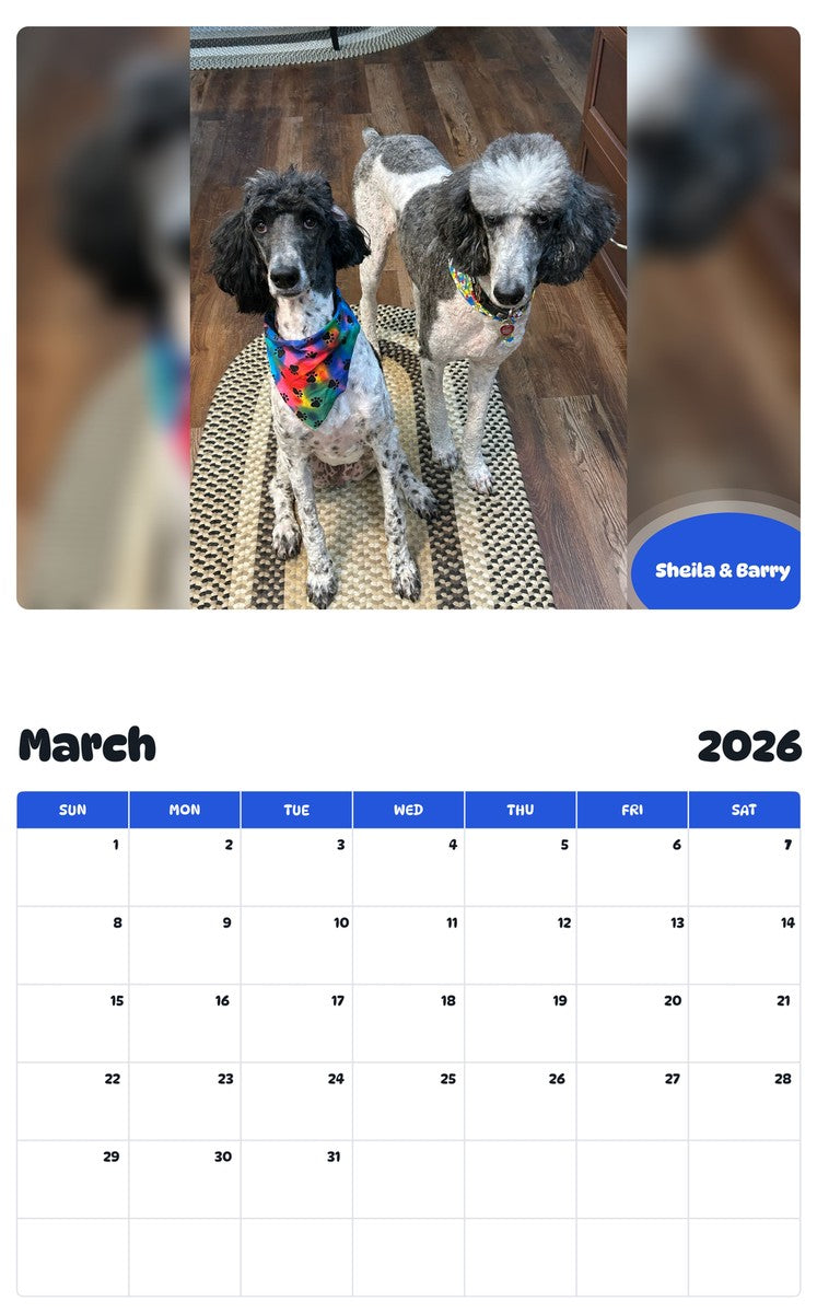 November 2025 - October 2026 Sheila & Barry - Pawidols Pet Calendar