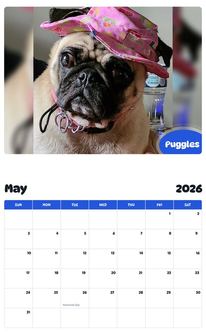 2026 - 2027 Puggles - Pawidols Pet Calendar