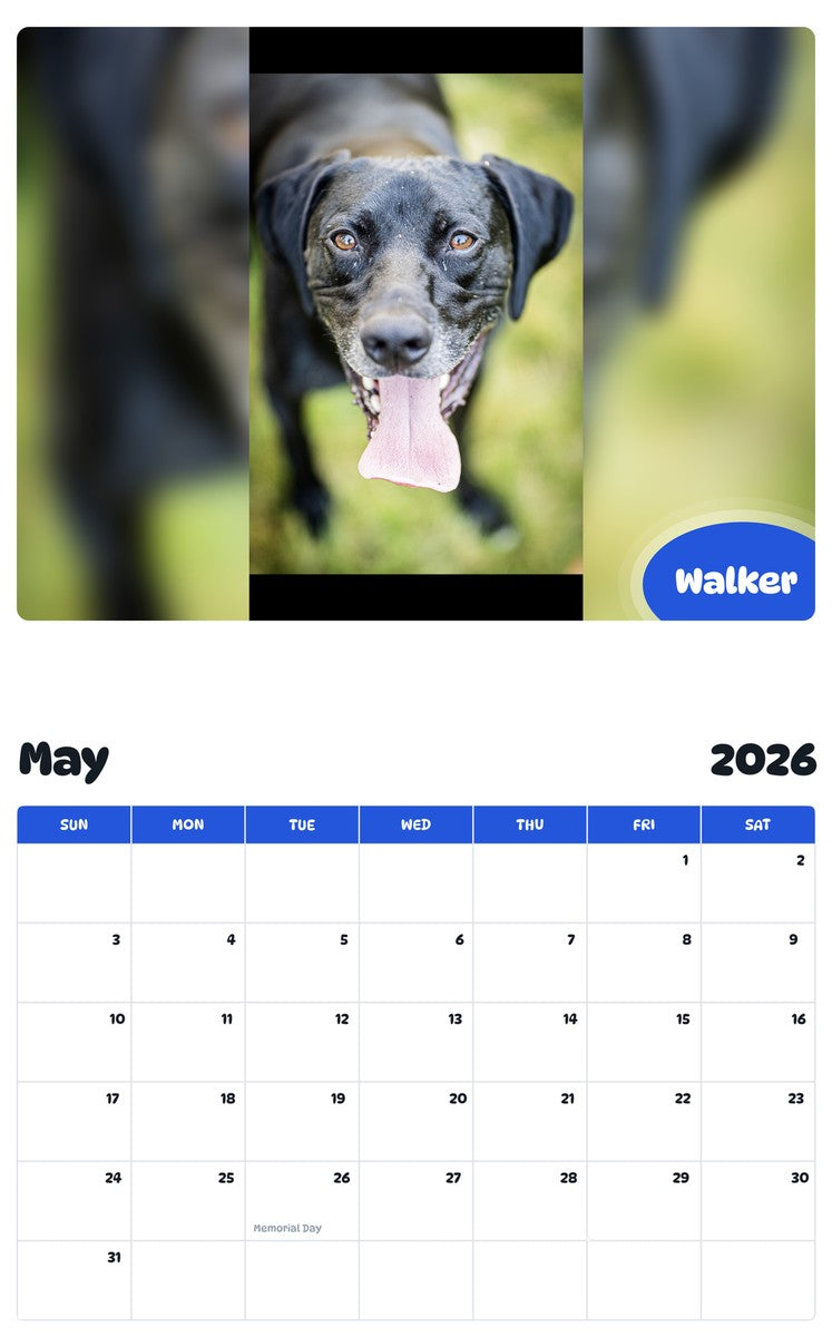 2026 - 2027 Walker - Pawidols Pet Calendar