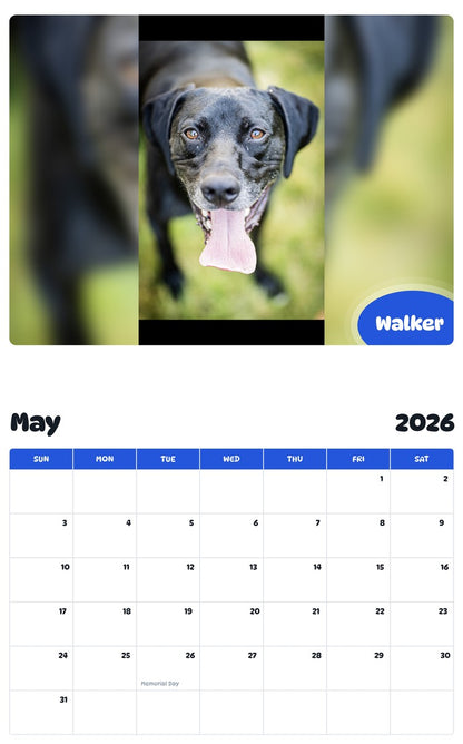 2026 - 2027 Walker - Pawidols Pet Calendar