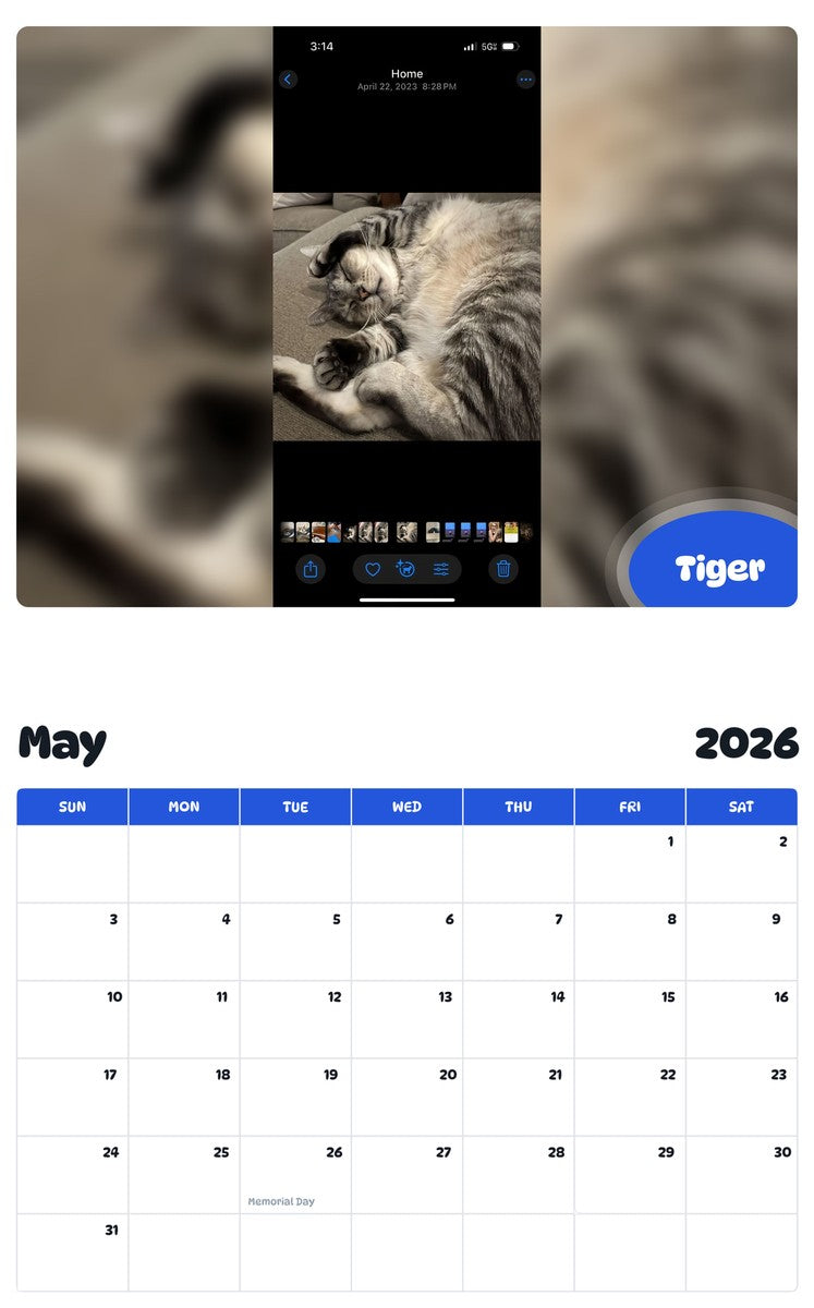 2026 - 2027 Tiger - Pawidols Pet Calendar