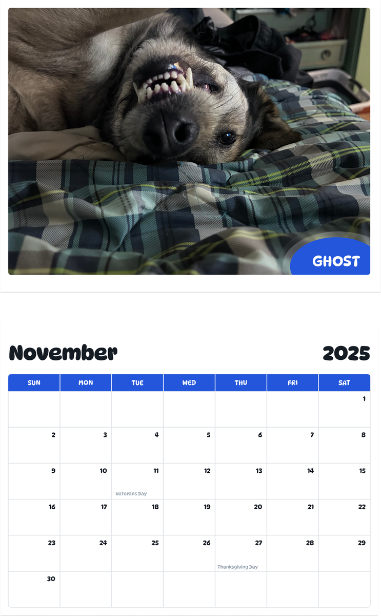 July 2025 - June 2026 ghost - Pawidols Pet Calendar