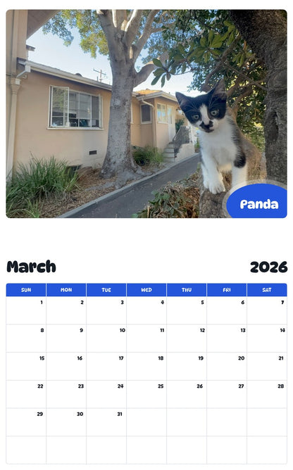 November 2025 - October 2026 Panda - Pawidols Pet Calendar