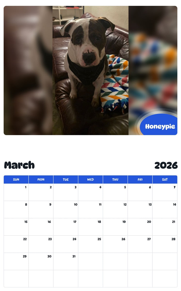 November 2025 - October 2026 Honeypie - Pawidols Pet Calendar
