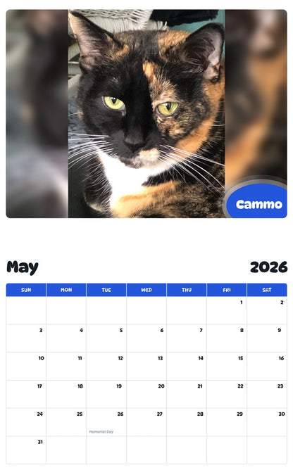 2026 - 2027 Cammo - Pawidols Pet Calendar